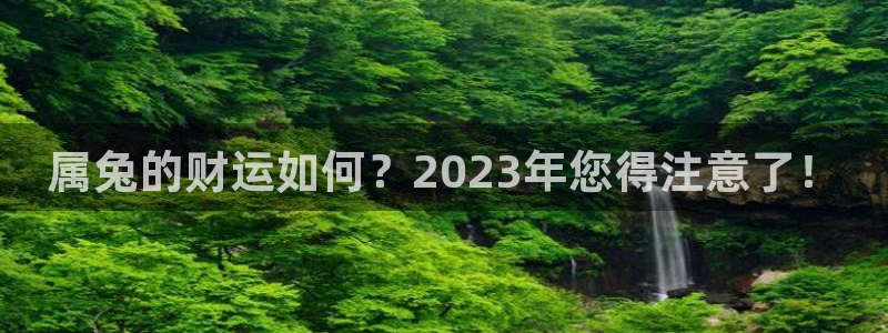 狗子28创意平台