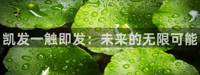 狗子28模拟器下载安装