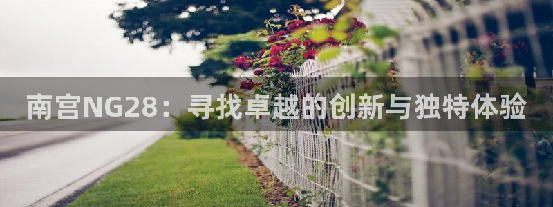 狗子28pg最新版本下载