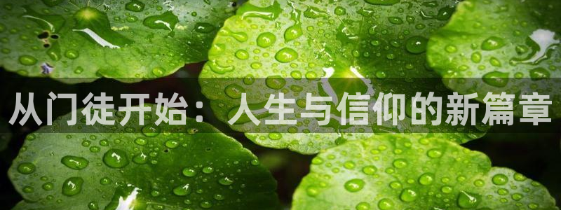 狗子28