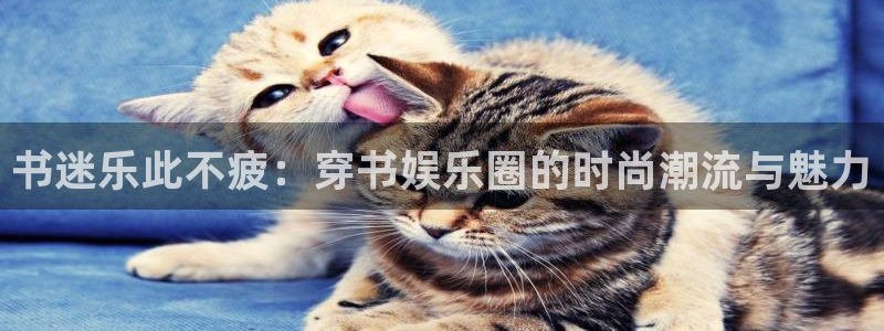 狗子28pg