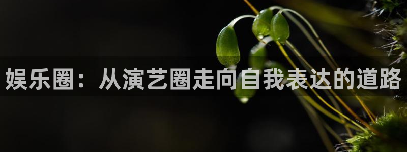 狗子28下载