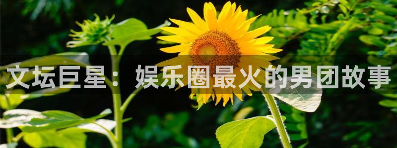 狗子28pg最新版安装包下载