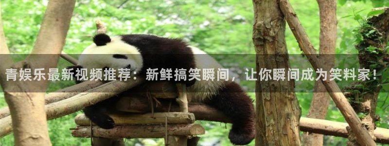 狗子28圈.ccmpc29官网版下载