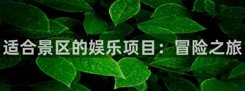 狗子28游戏登录入口：适合景区的娱乐项目：冒险之旅