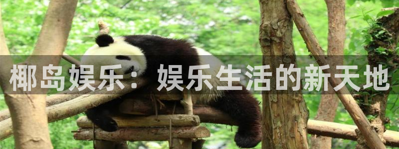 狗子28扶持金：椰岛娱乐：娱乐生活的新天地