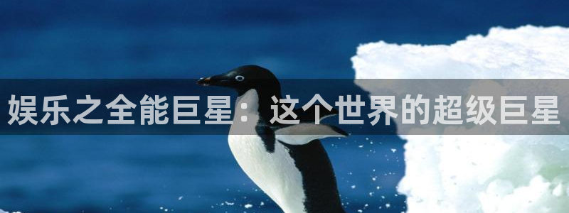 狗子28扶持金