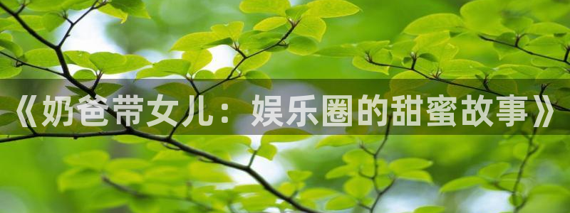 狗子28游戏登录入口