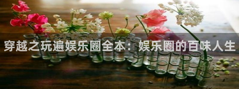 狗子28官网